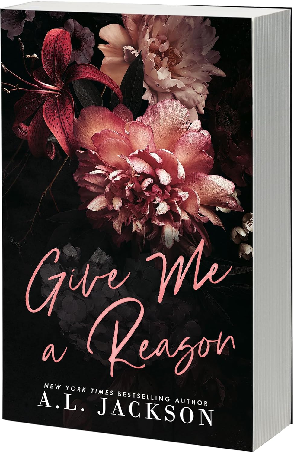 Give Me a Reason (Redemption Hills 1)