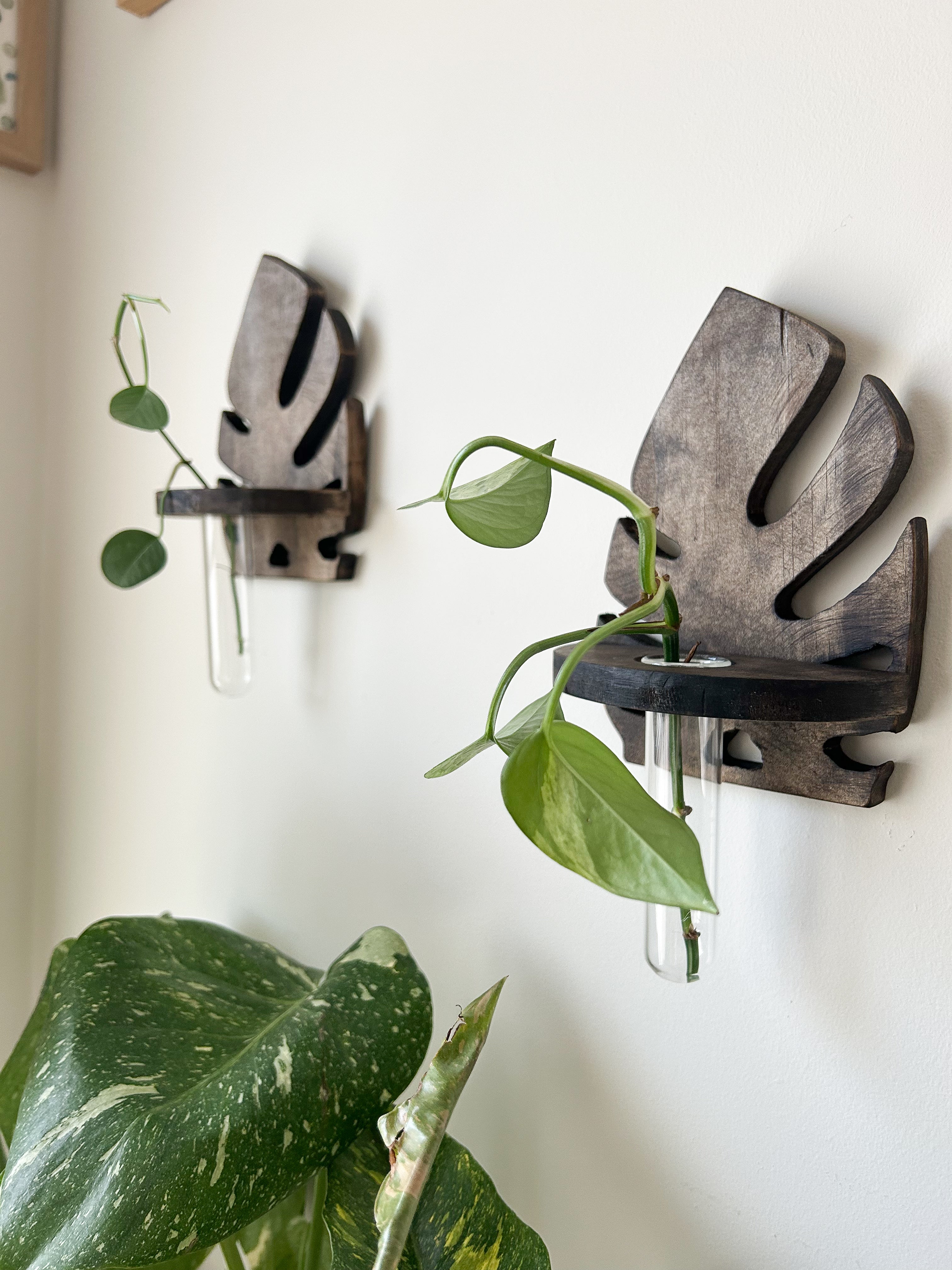 Wooden Wall Propagation-Dark