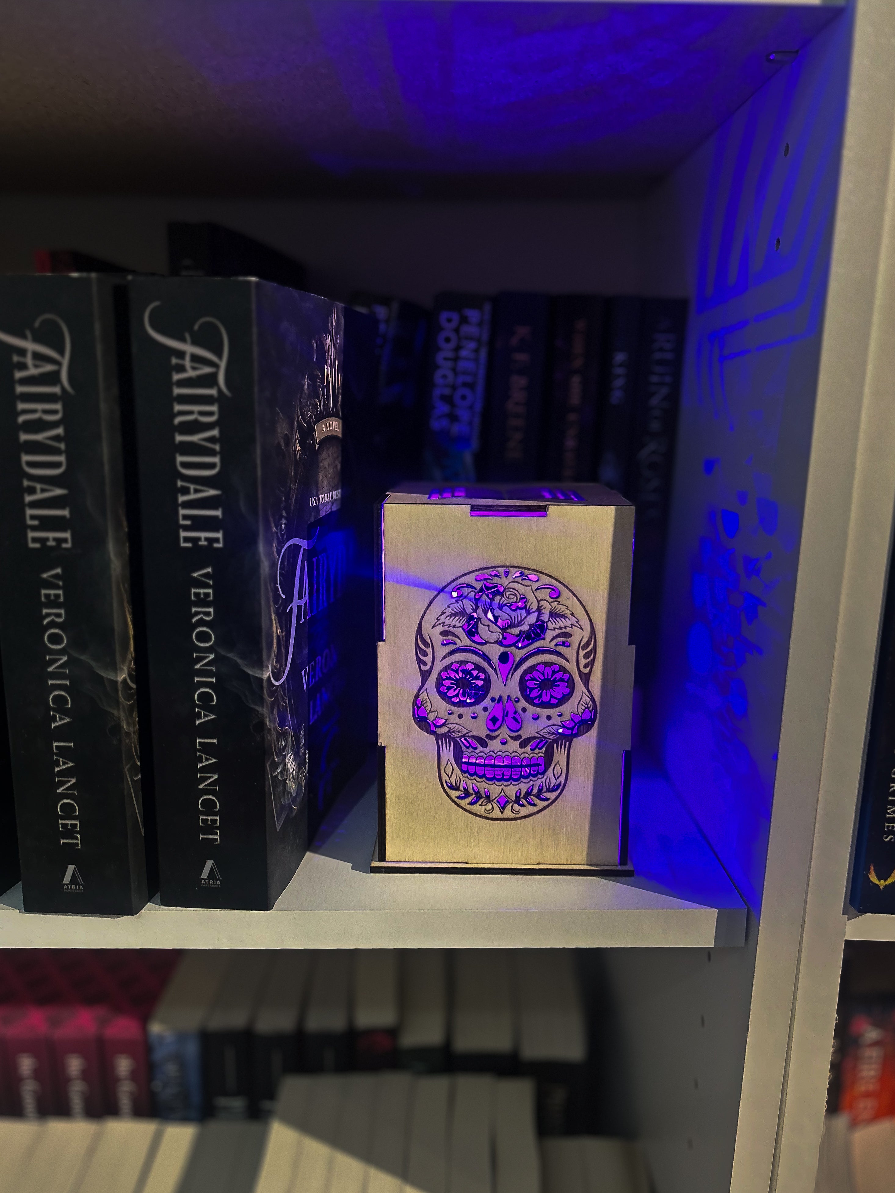 Dark Romance Shelf Light