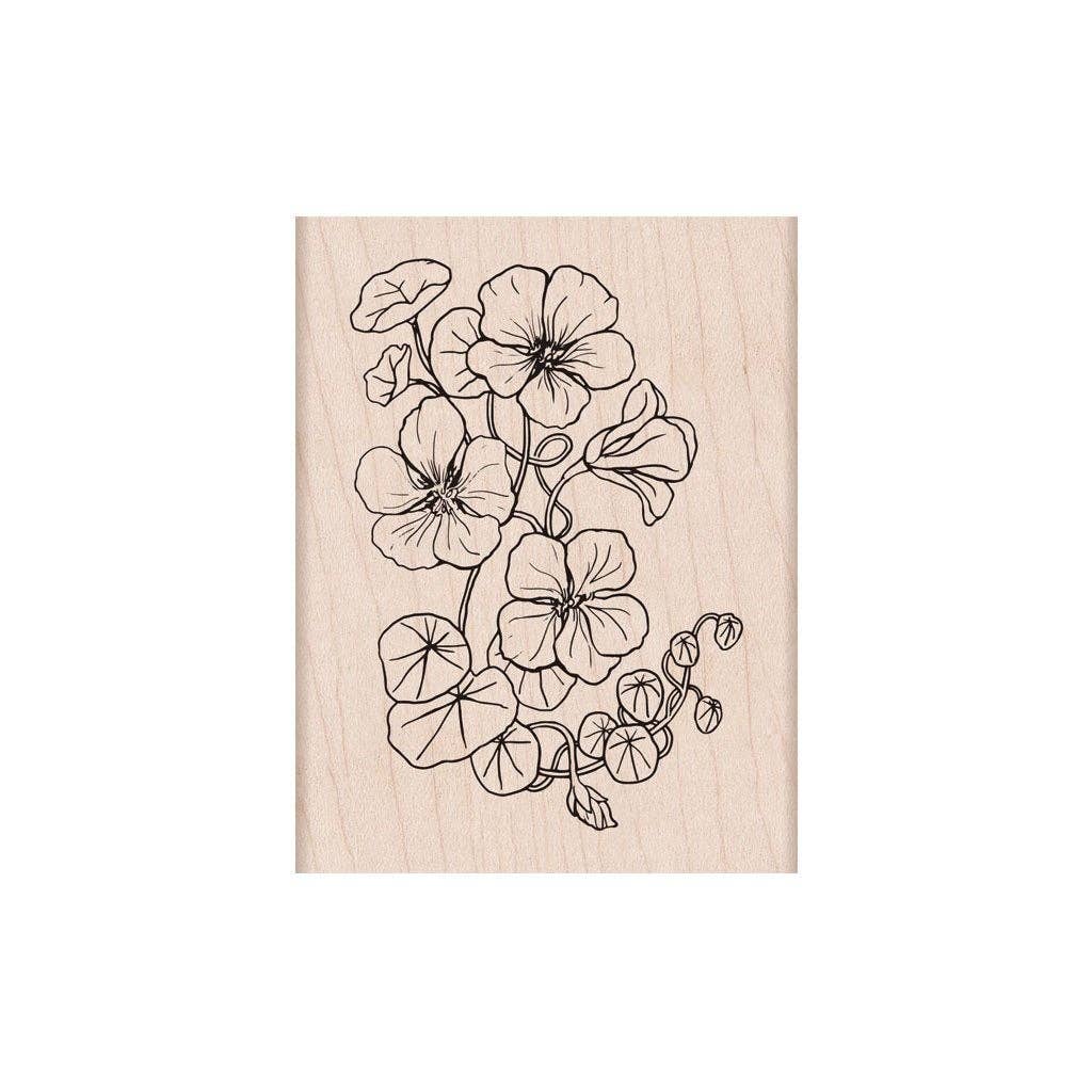 Hero Arts Flowering Nasturtium Wood Stamps
