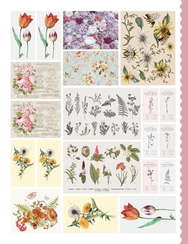Junk Journal Cutouts: Vintage Designs by The Juliet Journal