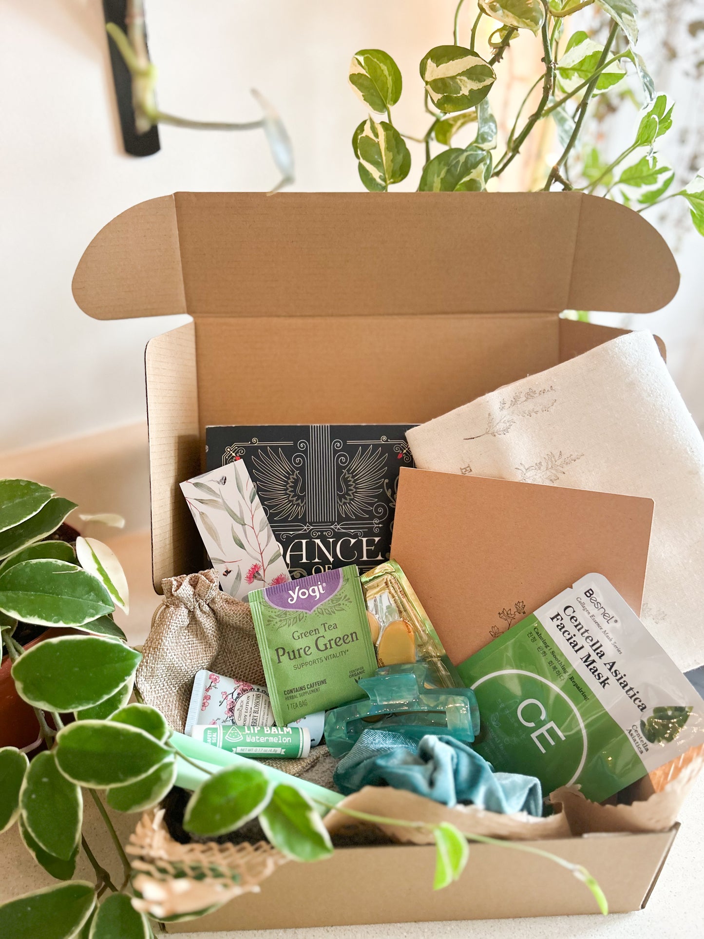 The Plant Lover’s Book Box