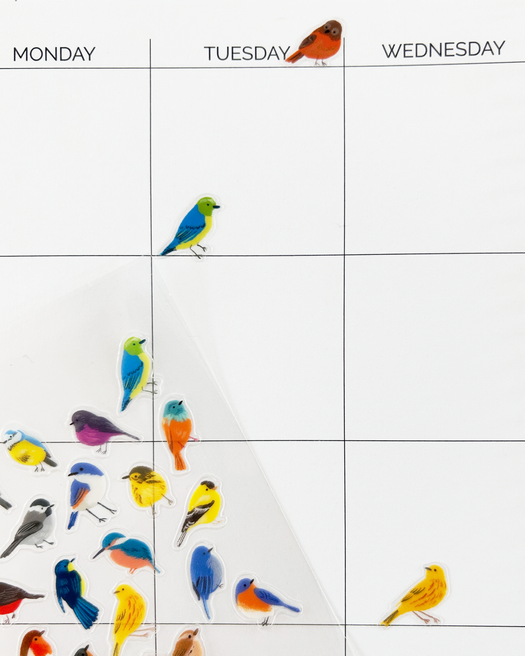 Birds Wildlands Stickers