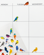 Birds Wildlands Stickers