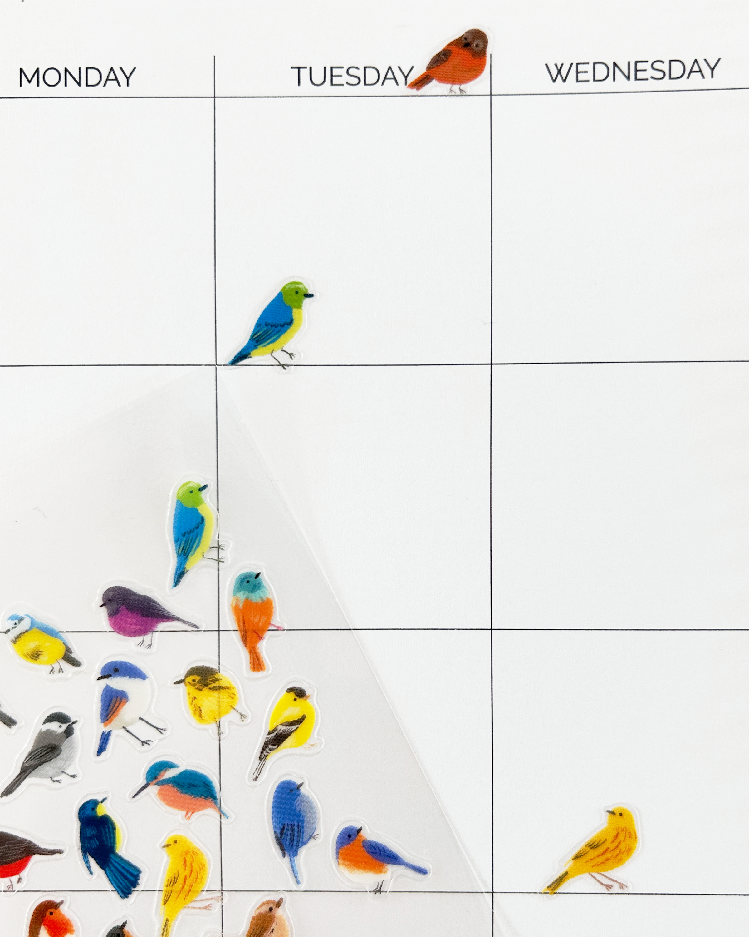 Birds Wildlands Stickers