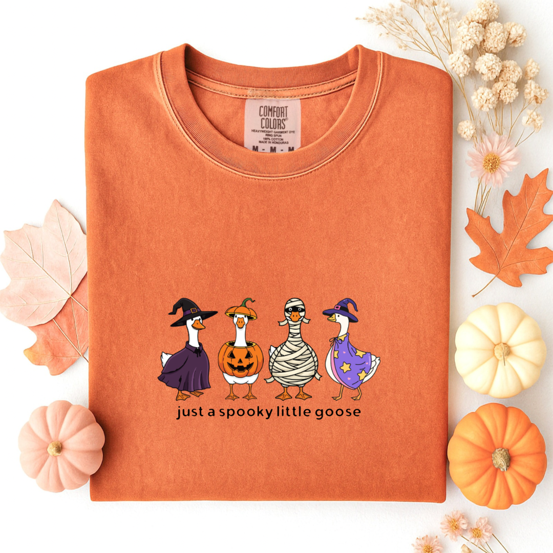 Spooky Little Goose Tshirt