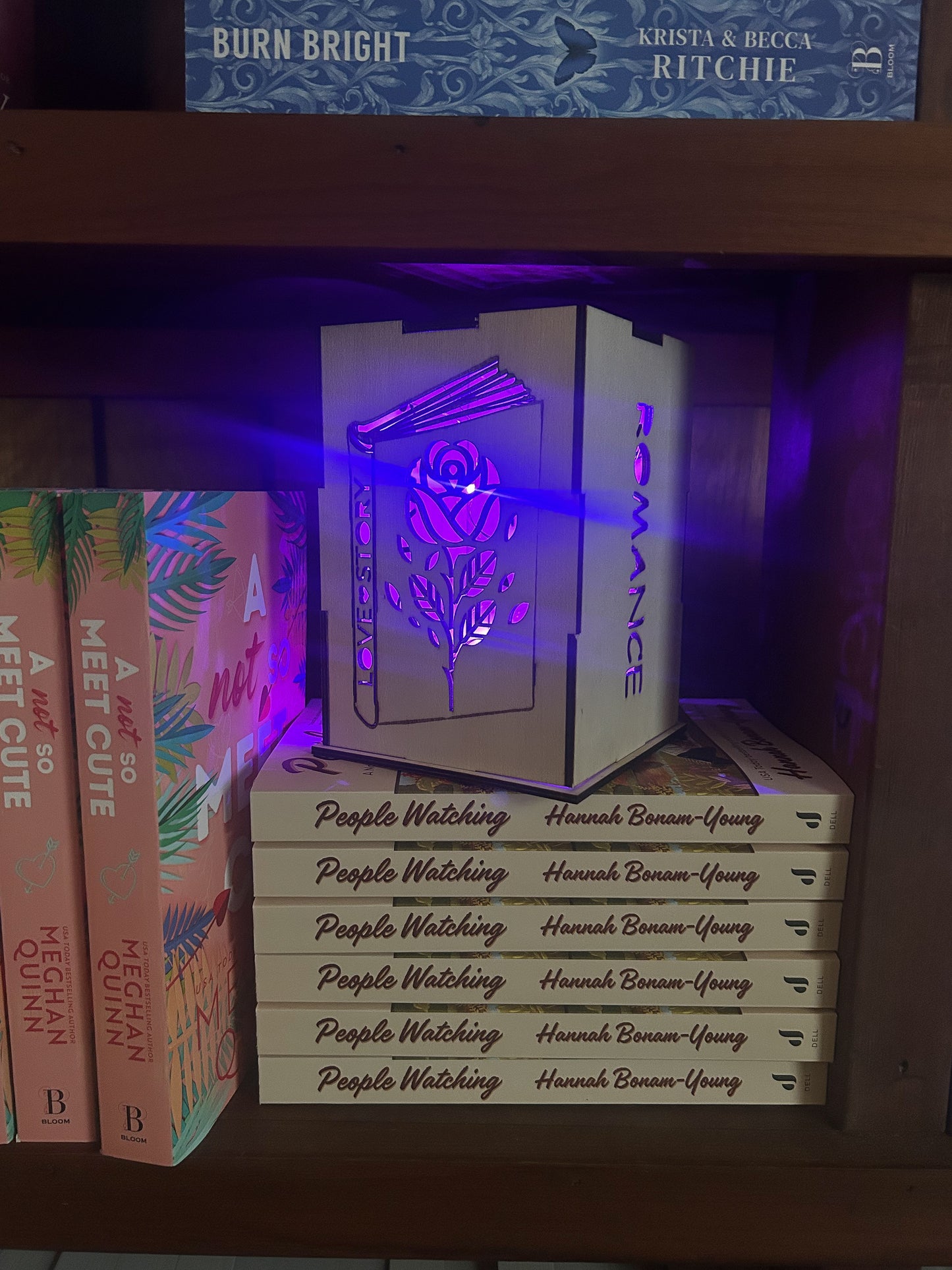 Romance Shelf Light