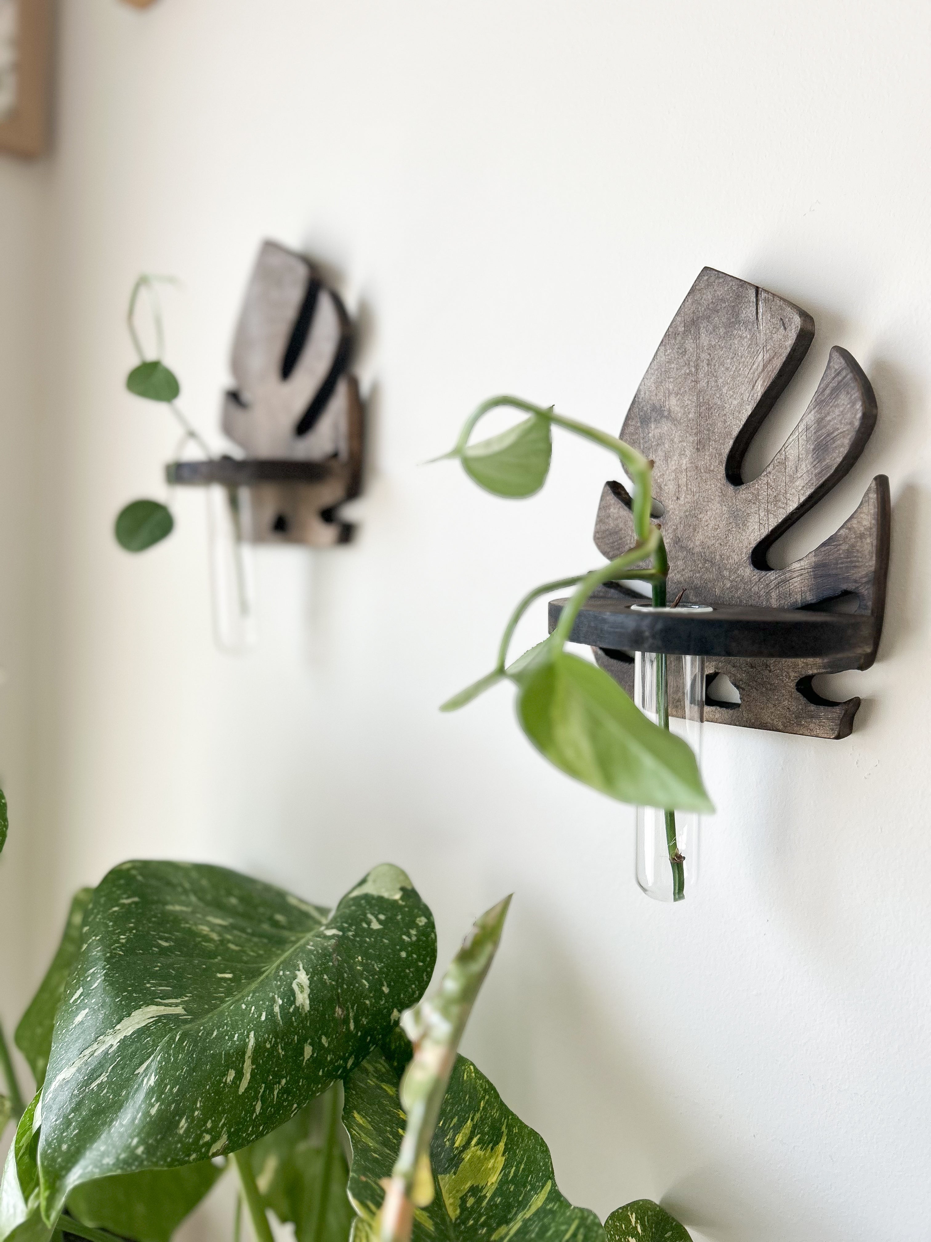 Wooden Wall Propagation-Dark