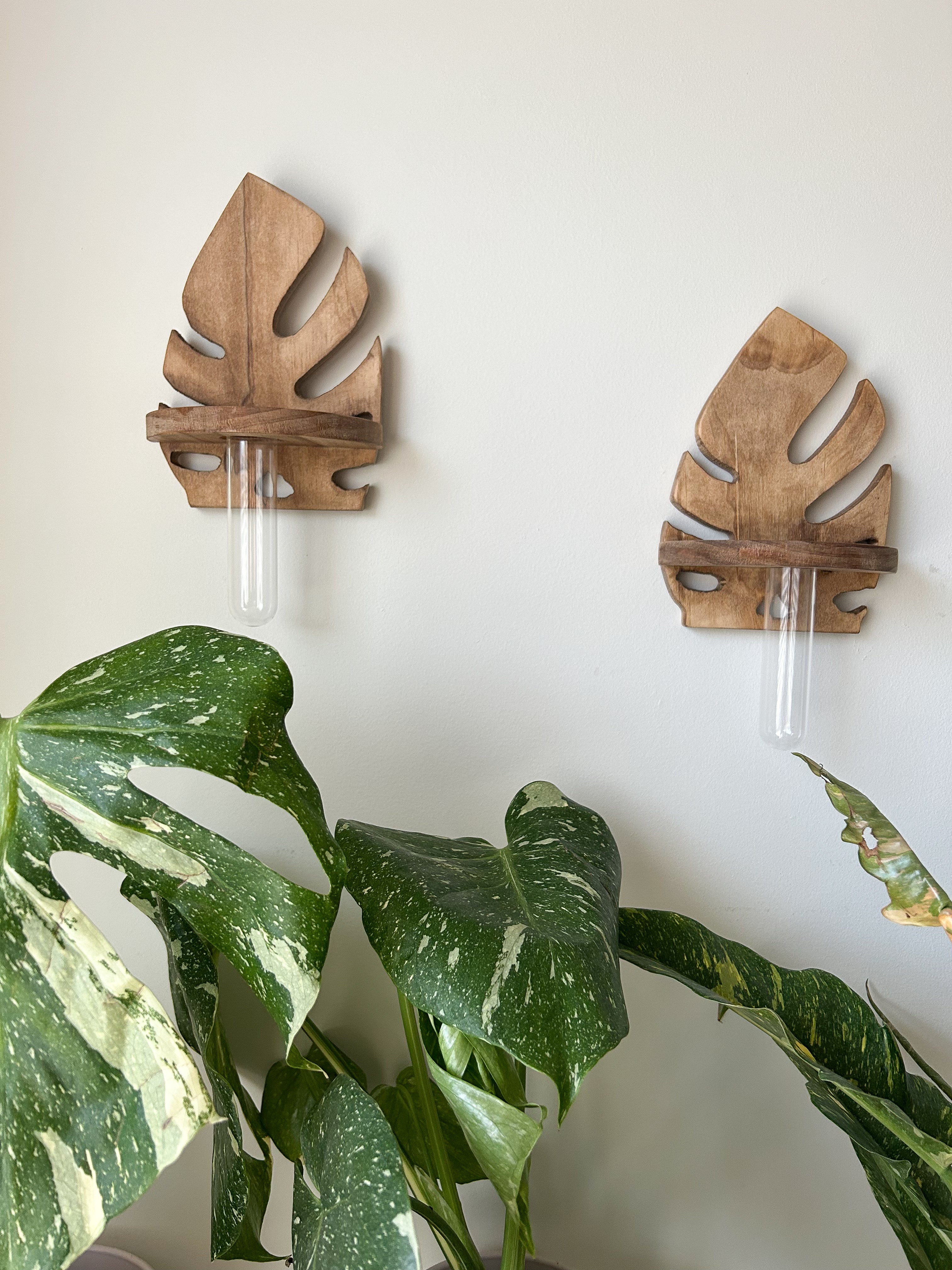 Wooden Wall Propagation- Light