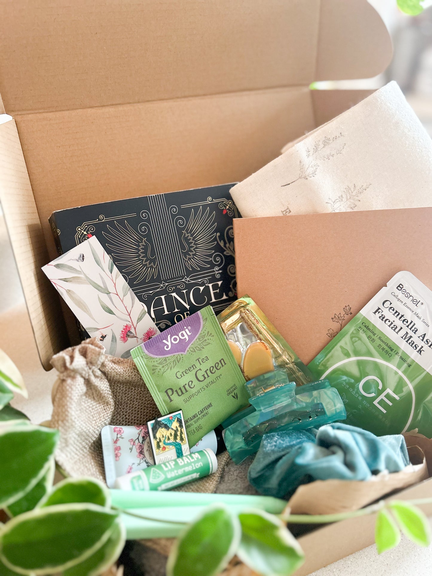 The Plant Lover’s Book Box