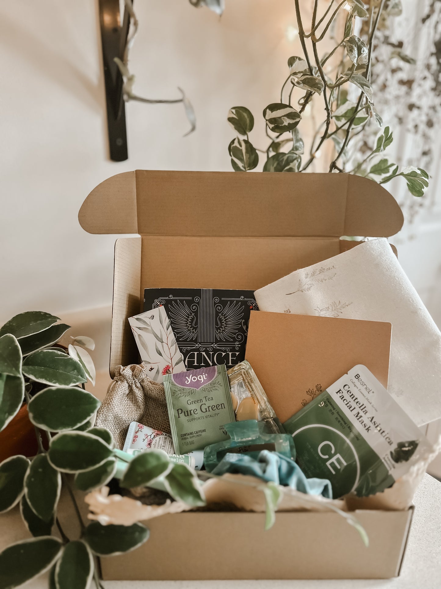 The Plant Lover’s Book Box