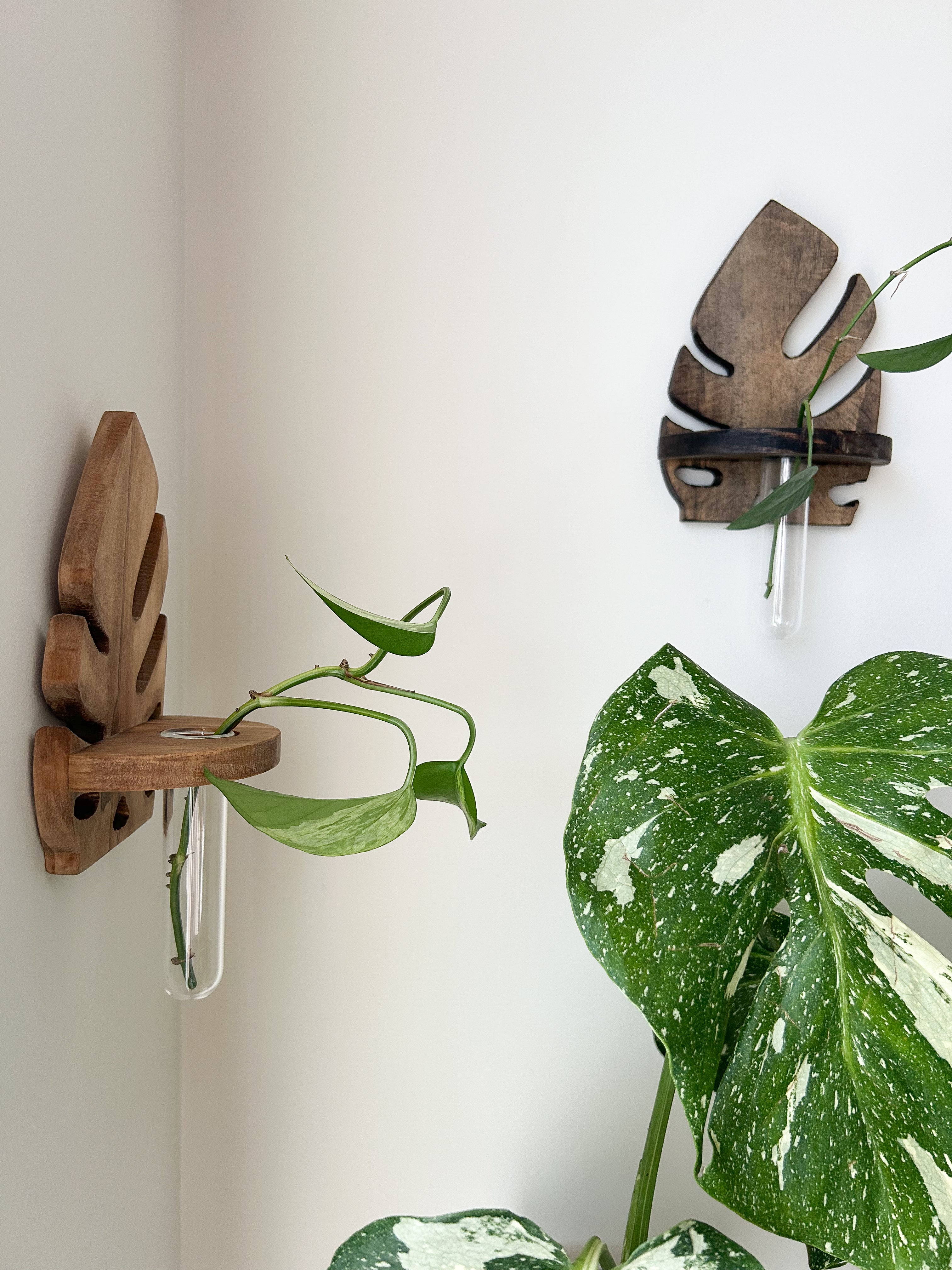 Wooden Wall Propagation-Dark