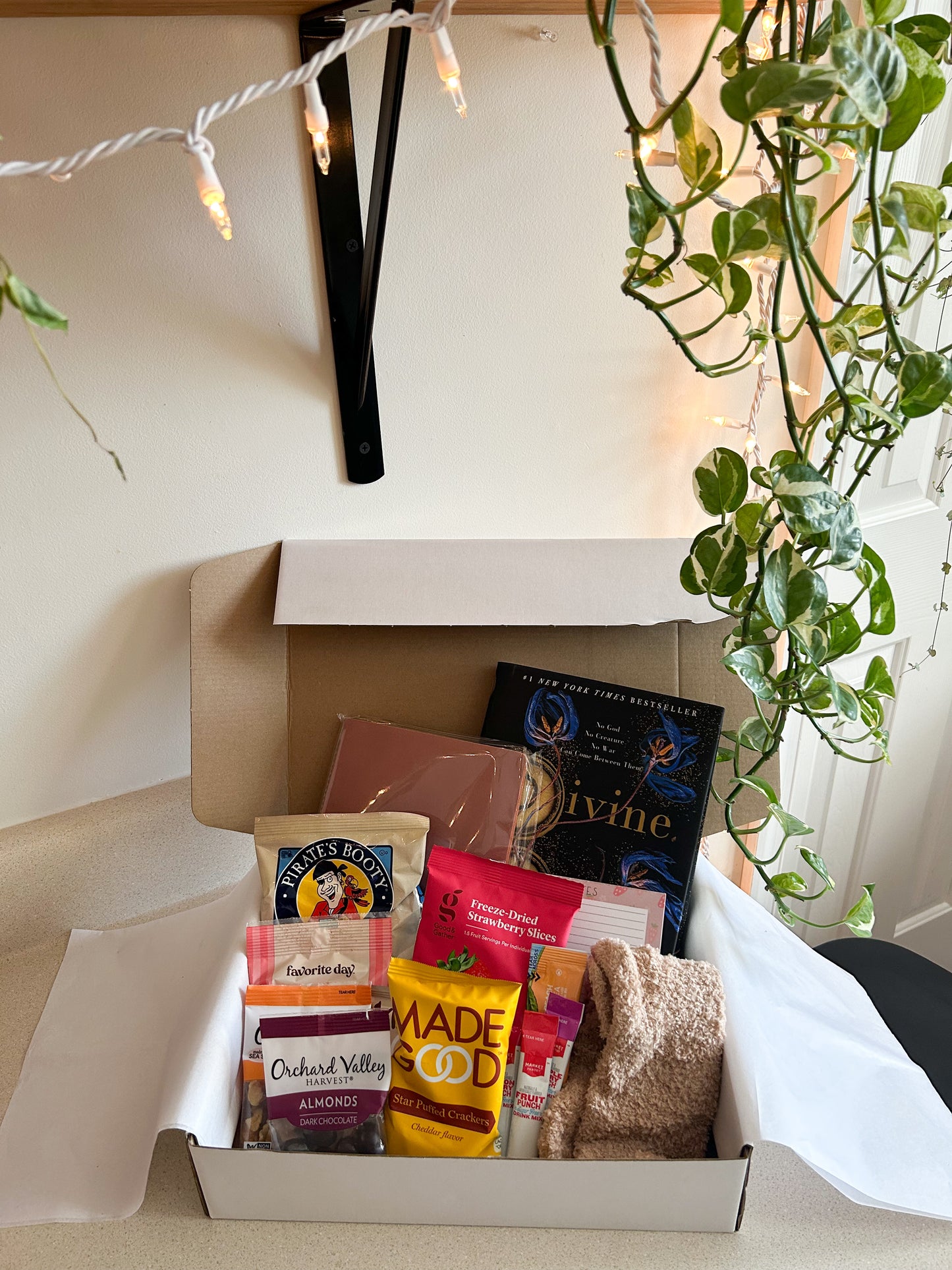 The Snack Lovers Book Box