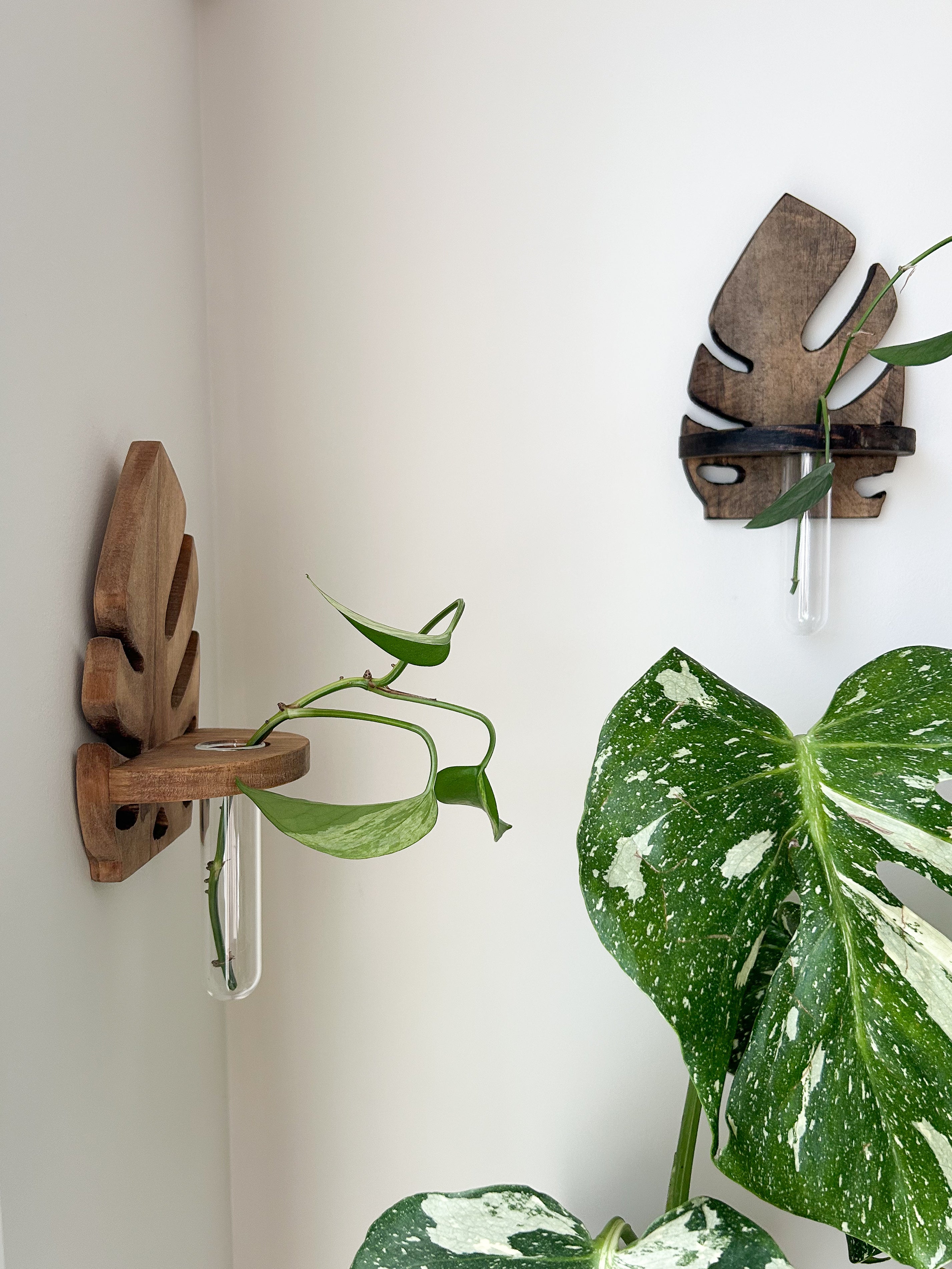 Wooden Wall Propagation-Dark