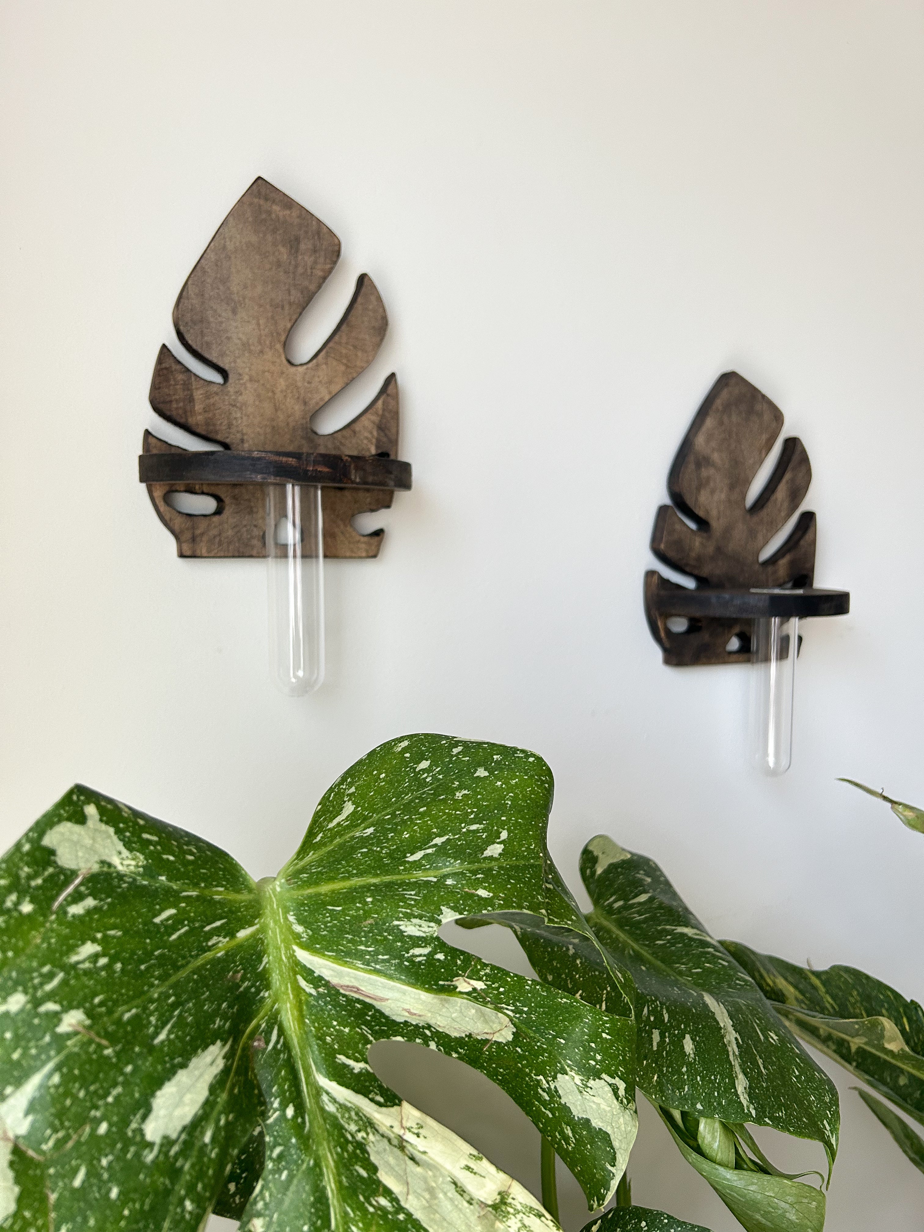 Wooden Wall Propagation-Dark