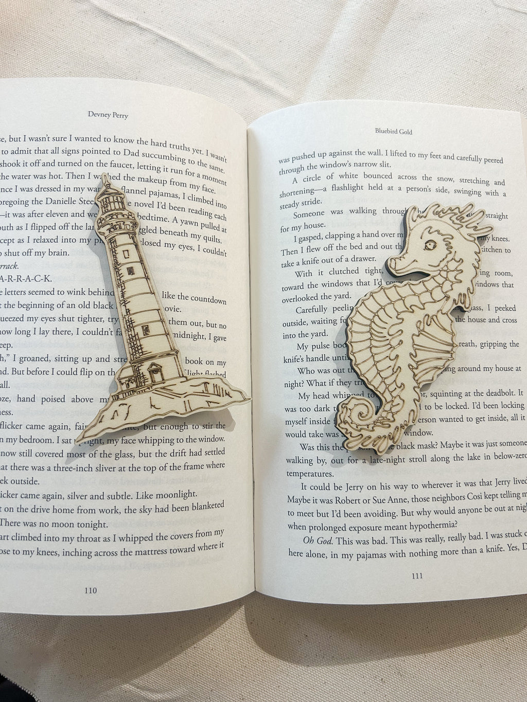 Beach Themed Blind Date With a Book