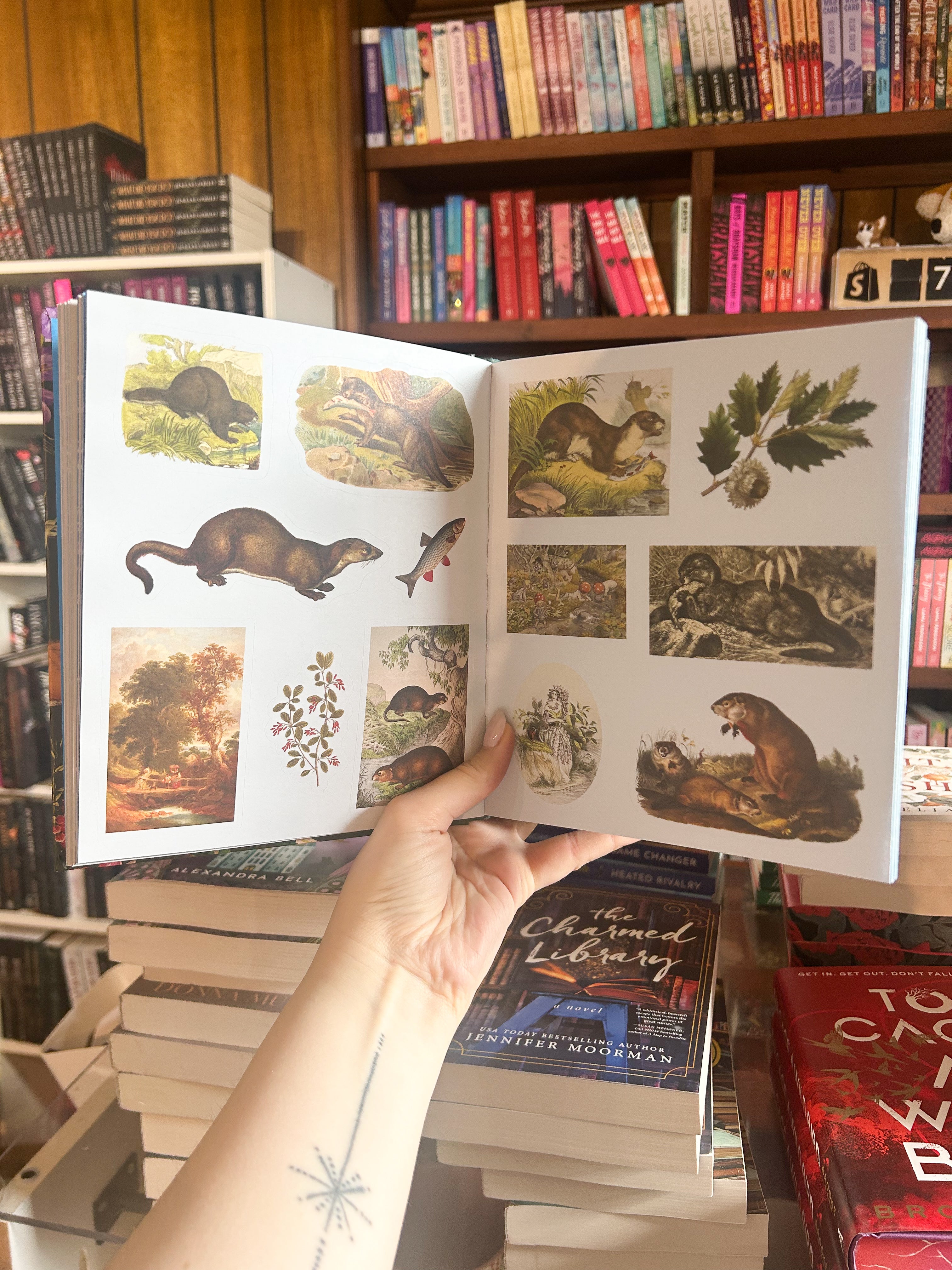 Woodland Adventures Sticker Treasury