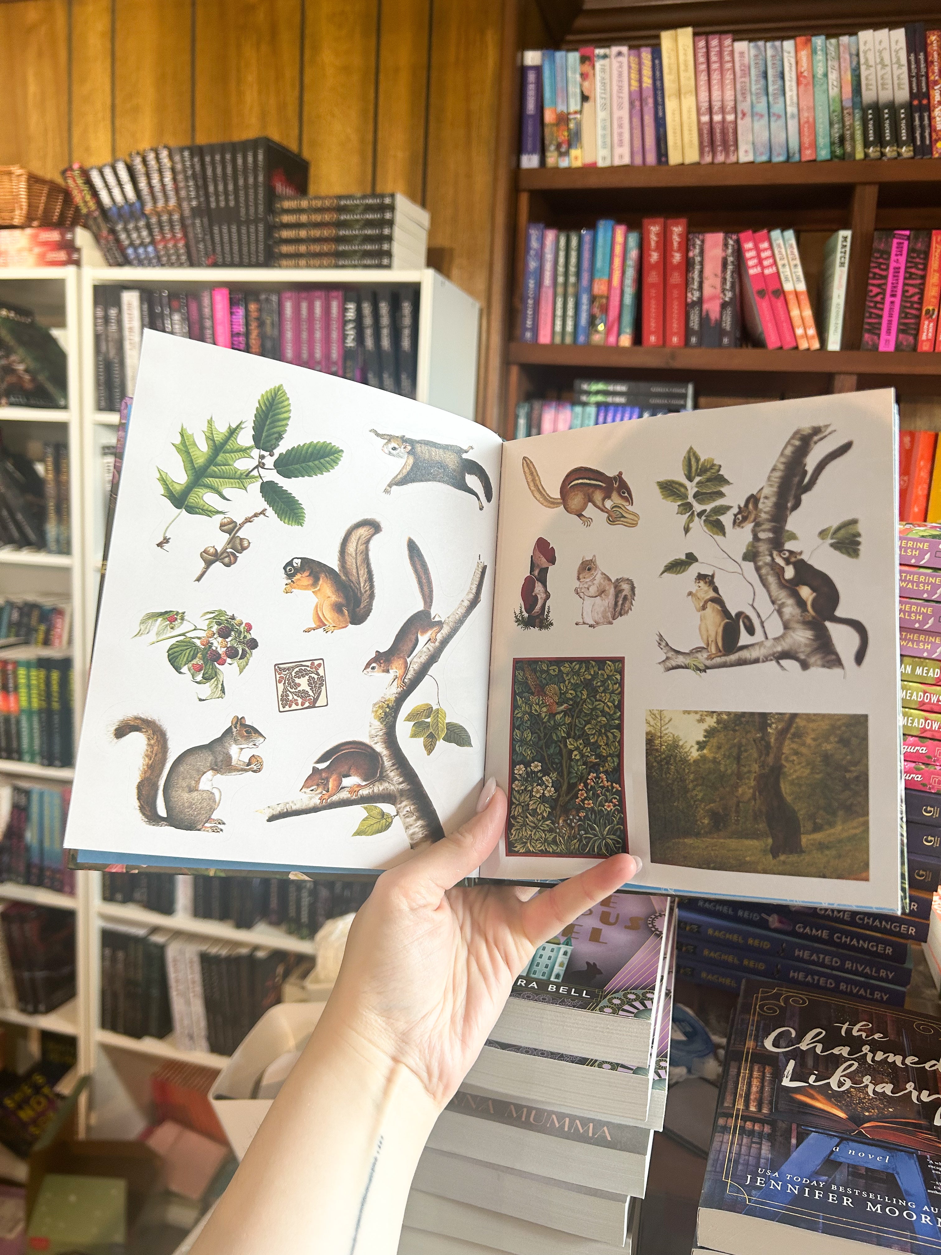 Woodland Adventures Sticker Treasury