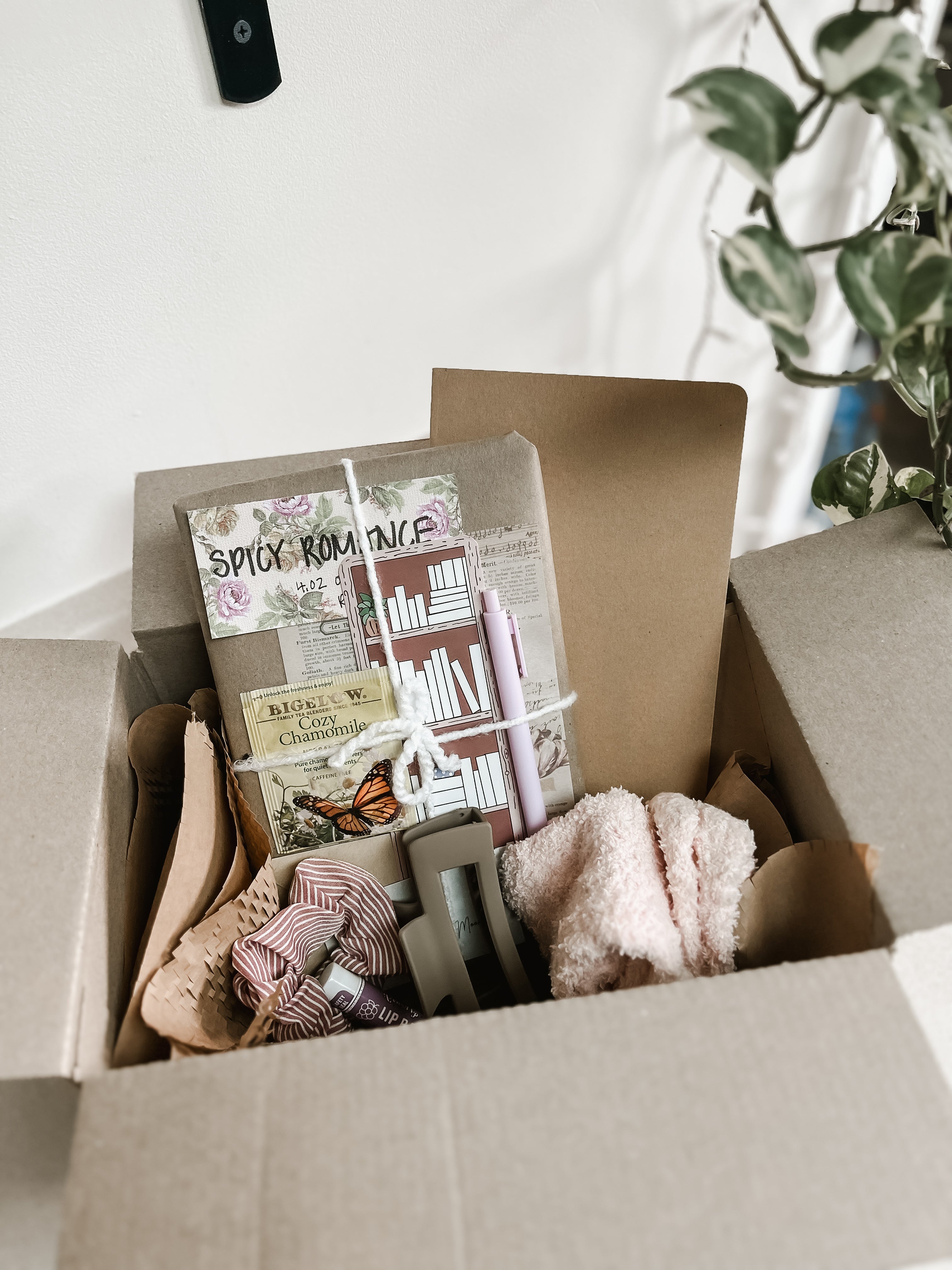 Book Bundles – The Cozy Book Box
