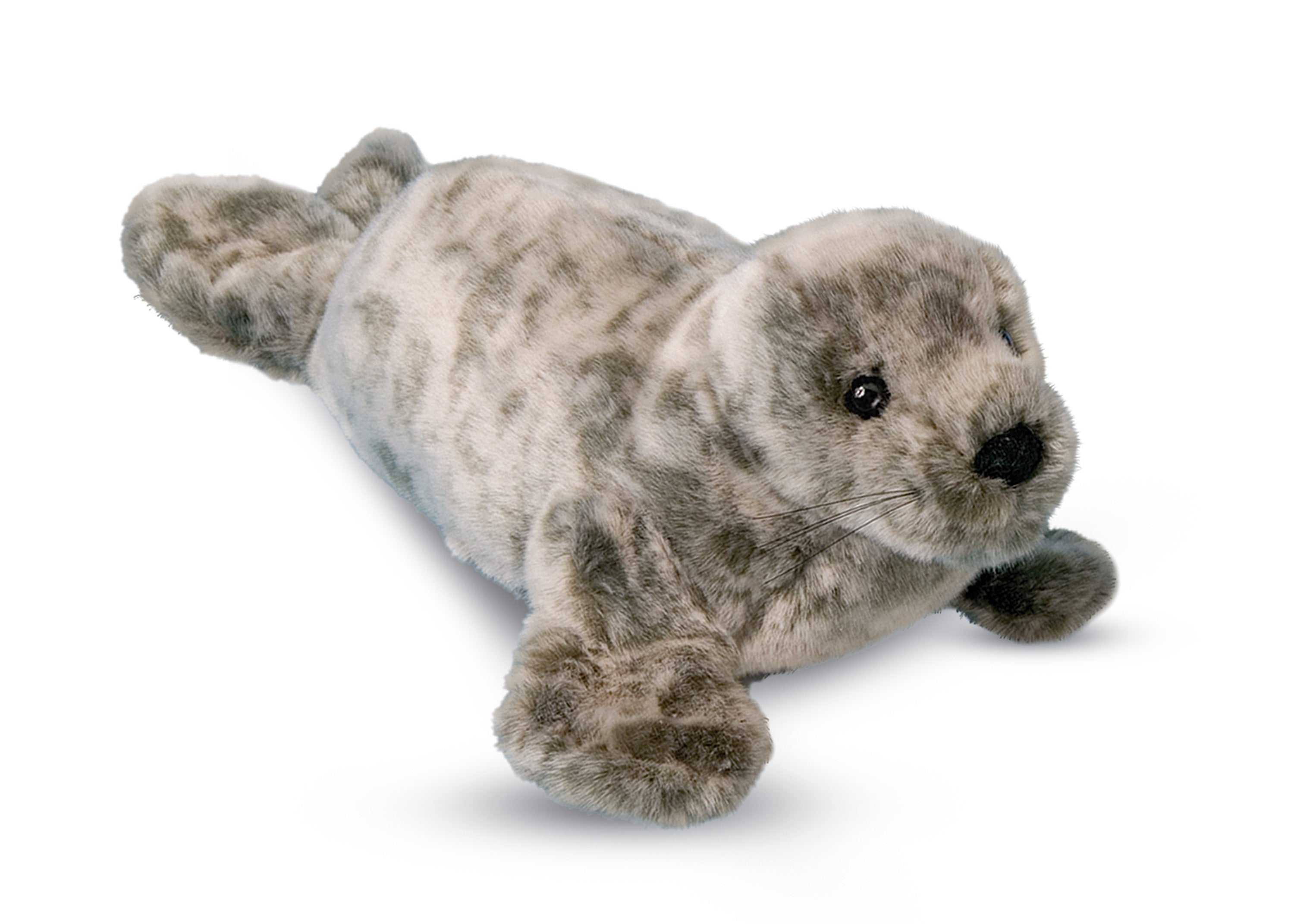 Speckles Monk Seal