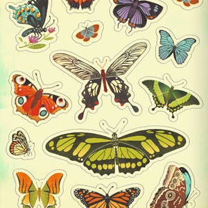 What's Inside Garden Sticker