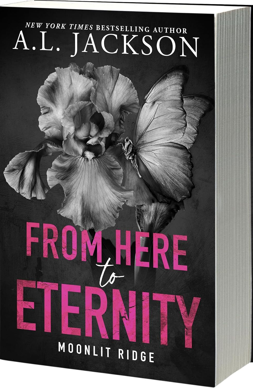 From Here to Eternity (Moonlit Ridge 1)