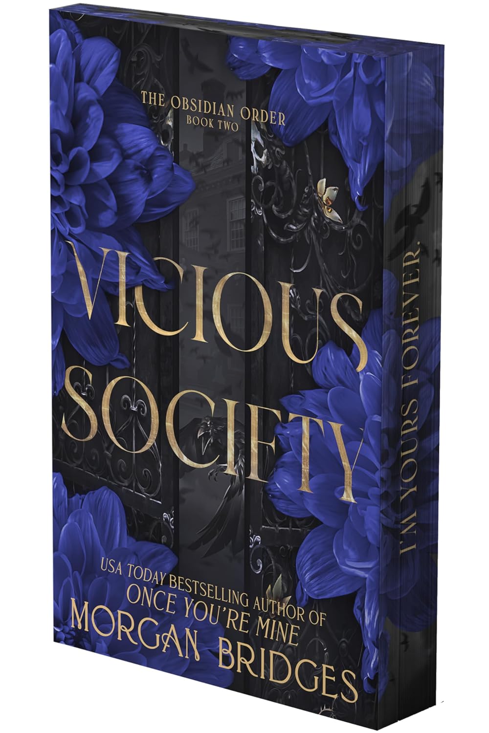 Vicious Society (Obsidian Order 2)