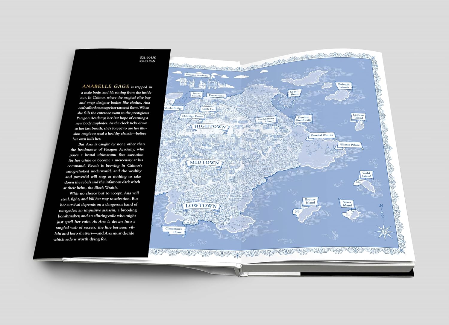 Queen of Faces (Hardcover)