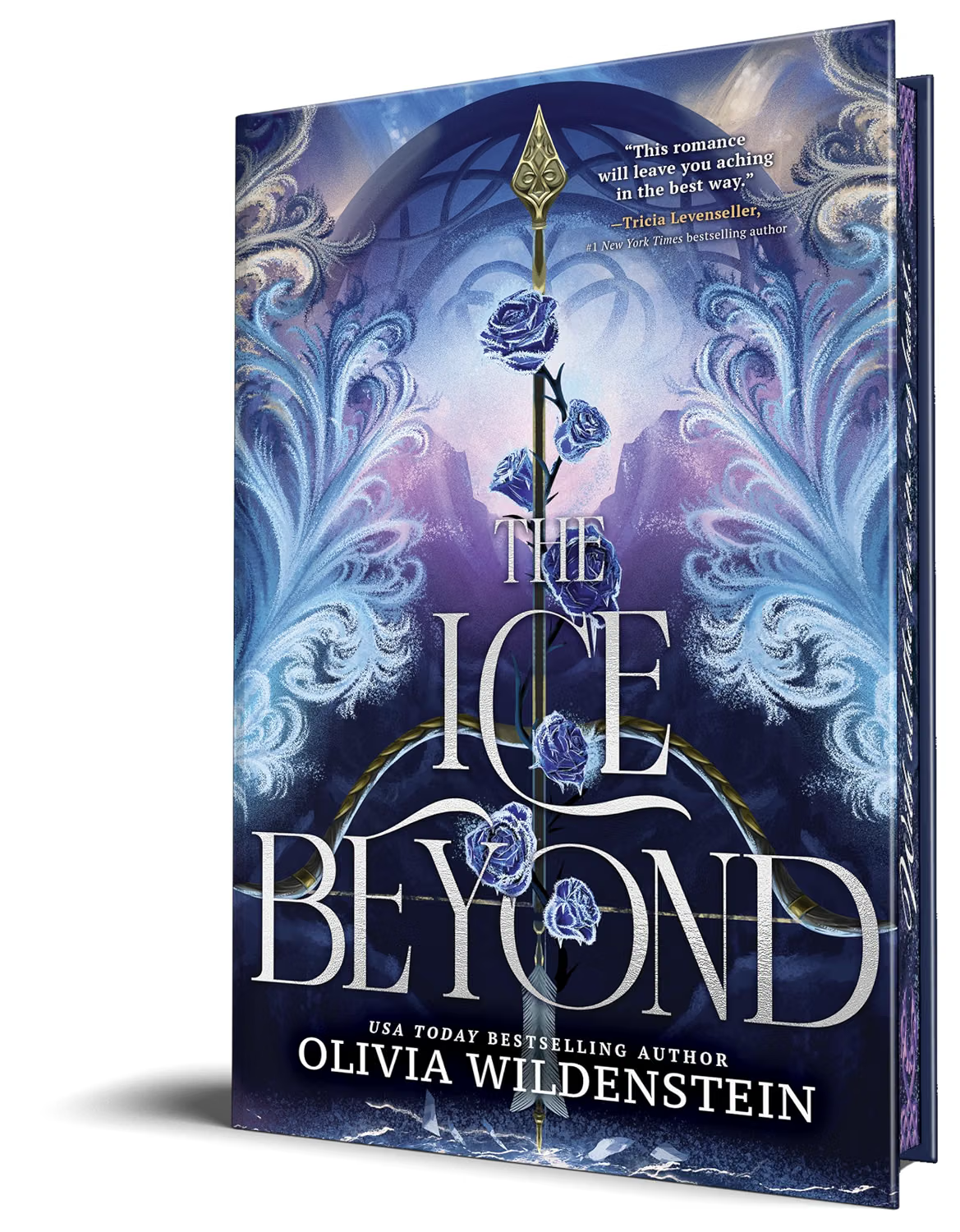 The Ice Beyond
